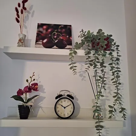 Central Splendor Studio Mall * Bukarest